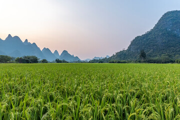 太极拳如何练“意念
